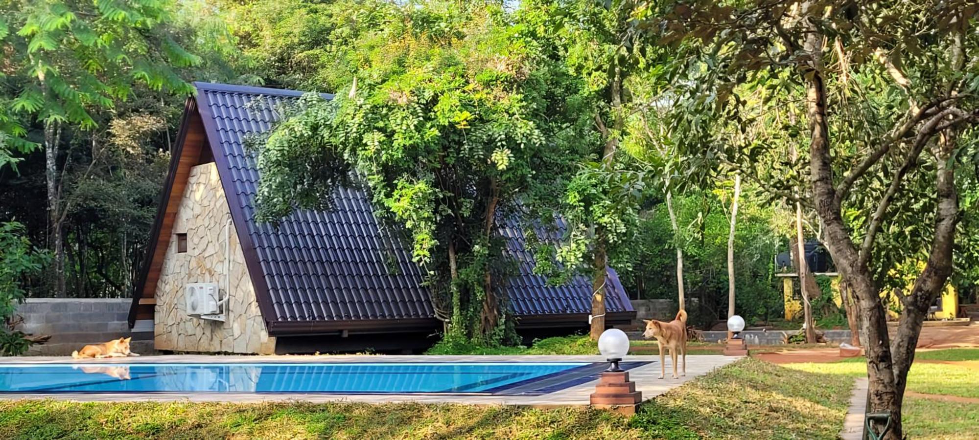סיגירייה Lion King Jungle Cabanas מראה חיצוני תמונה