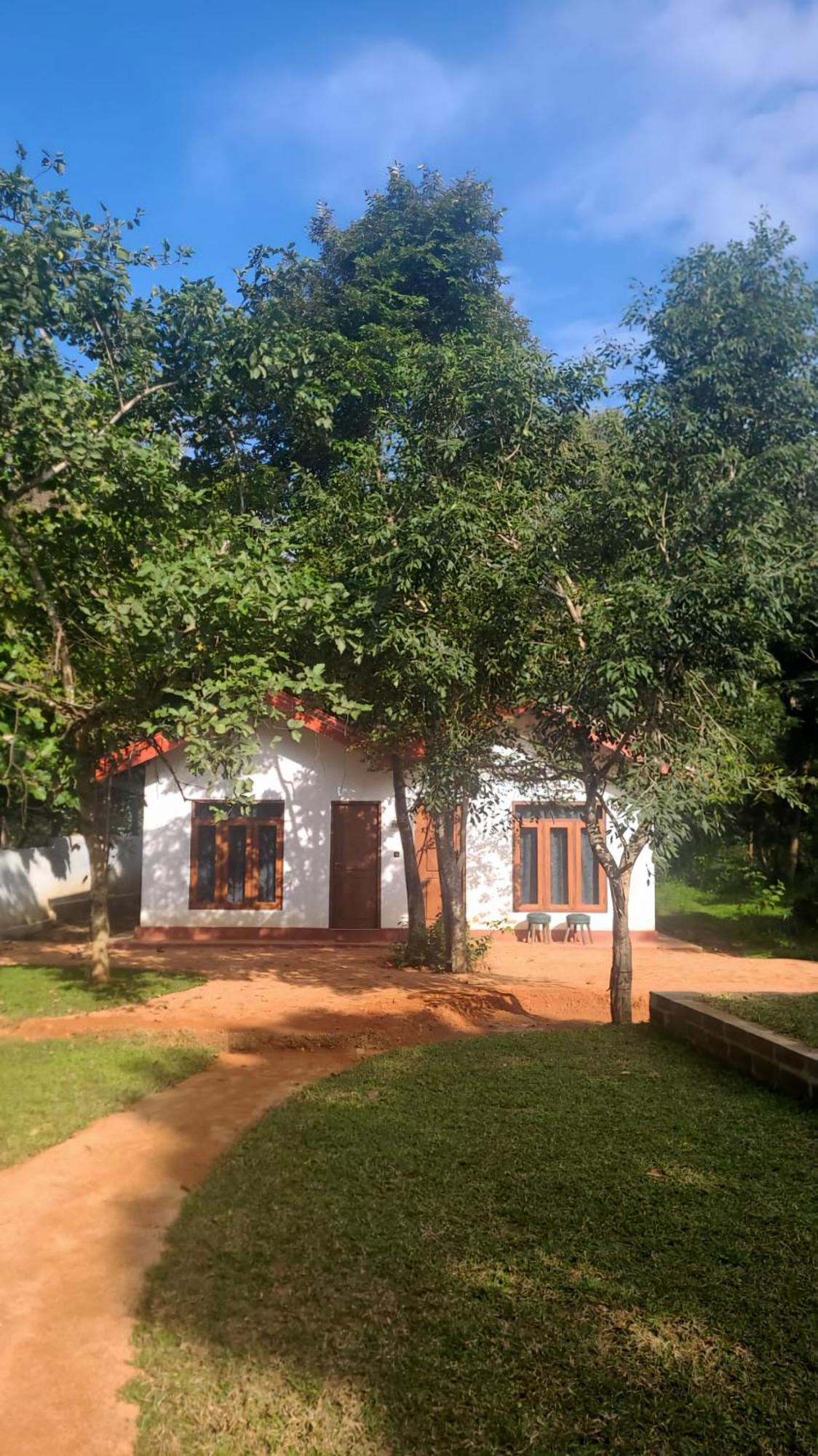 סיגירייה Lion King Jungle Cabanas מראה חיצוני תמונה