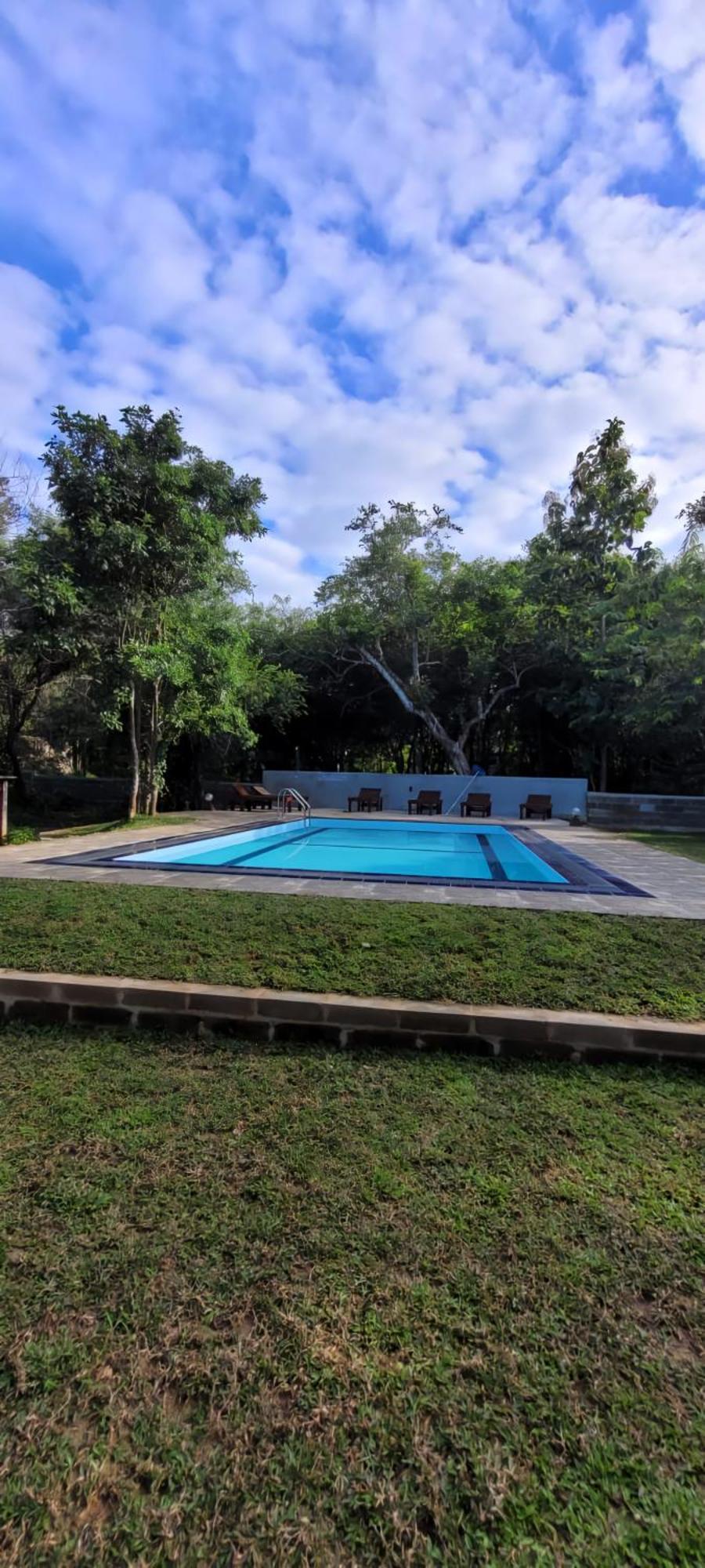 סיגירייה Lion King Jungle Cabanas מראה חיצוני תמונה